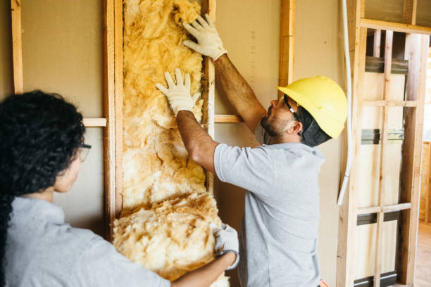 Eco-Friendly or Green Insulation Solutions in American Canyon, CA